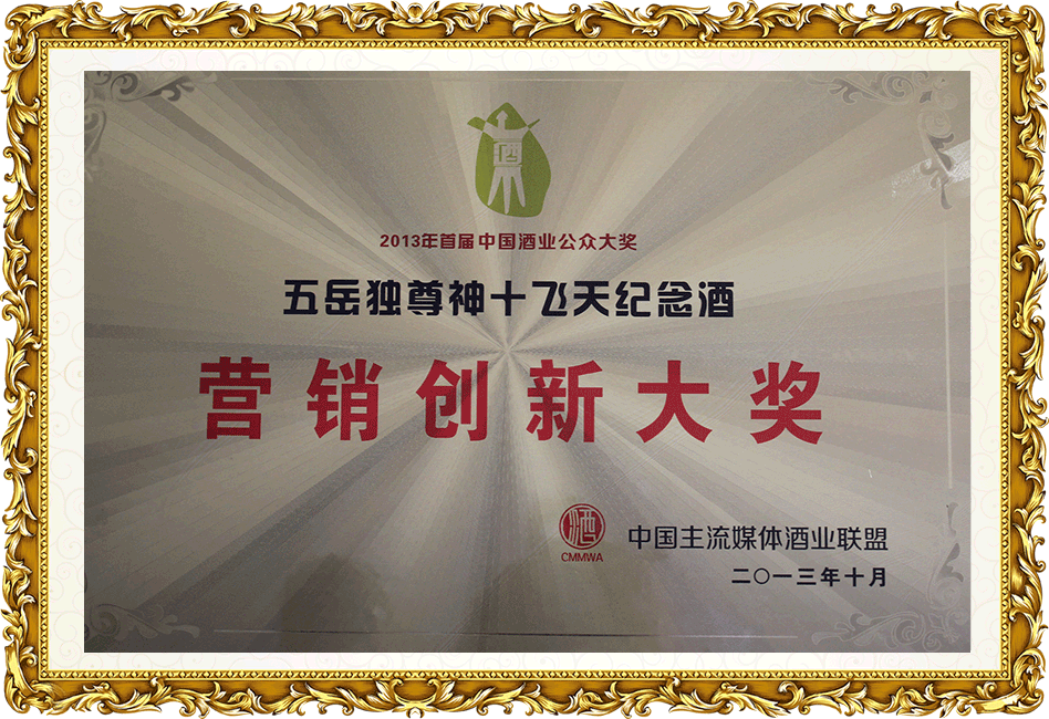 五岳獨(dú)尊—營(yíng)銷(xiāo)創(chuàng)新大獎(jiǎng)